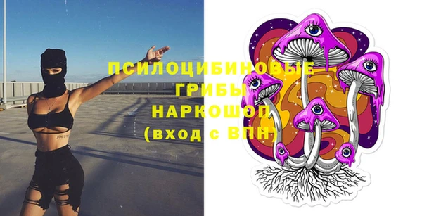 спайс Богородск