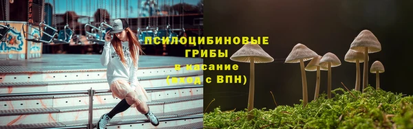 спайс Богородск